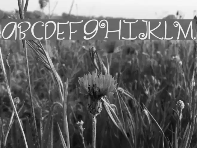 Yippy Skippy Schriftart examples