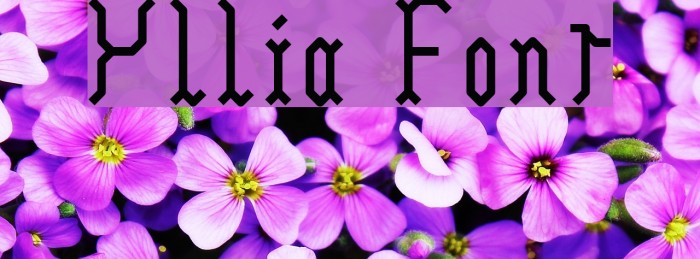 Yllia Font examples