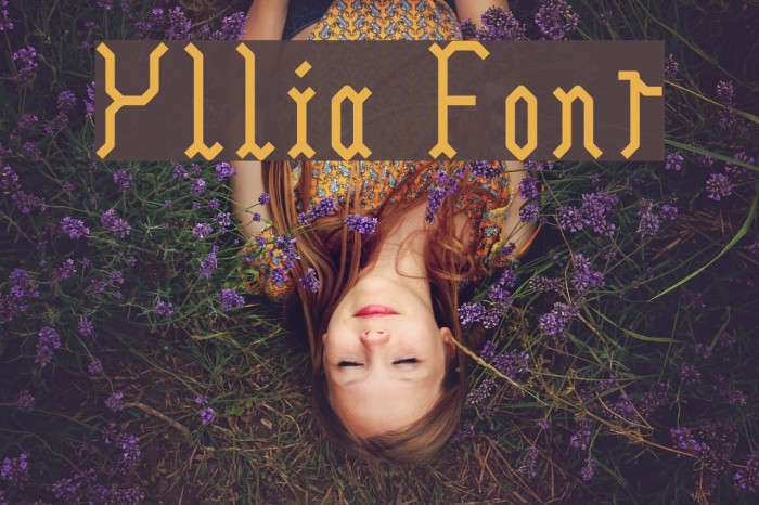 Yllia Font examples