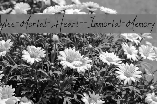 ylee-Mortal-Heart--Immortal-Memory Schriftart examples