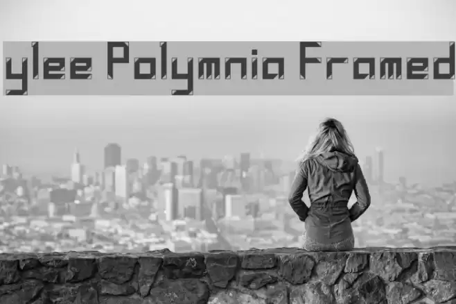 ylee Polymnia Framed Font examples
