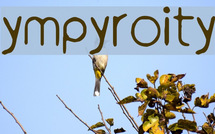 ympyroity Font examples