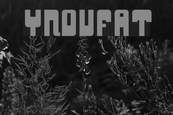 YnduFat Font examples