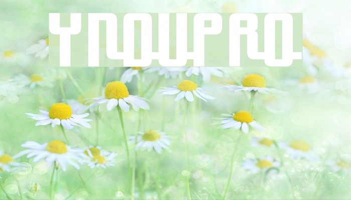 YnduPro Font examples