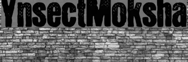 YnsectMoksha Font examples