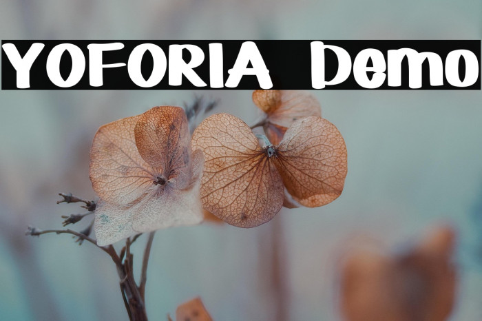 YOFORIA  Demo Example 2