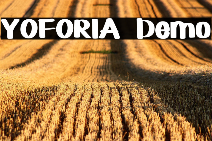 YOFORIA  Demo Example 3