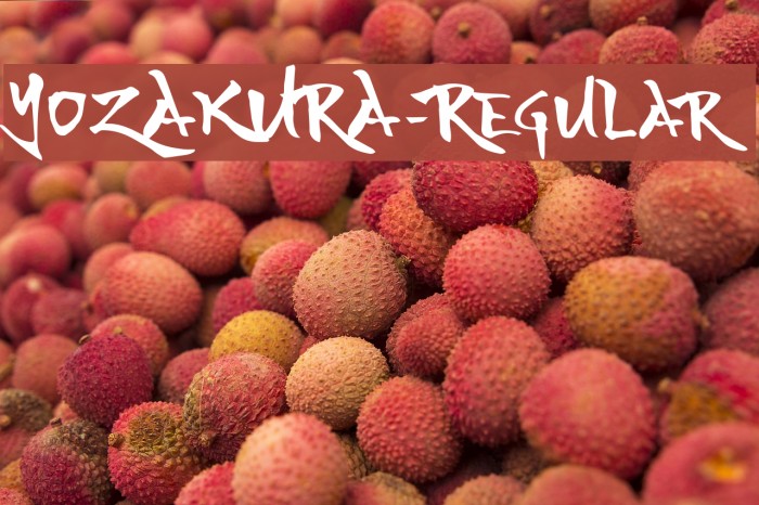 YOZAKURA-Regular Font examples