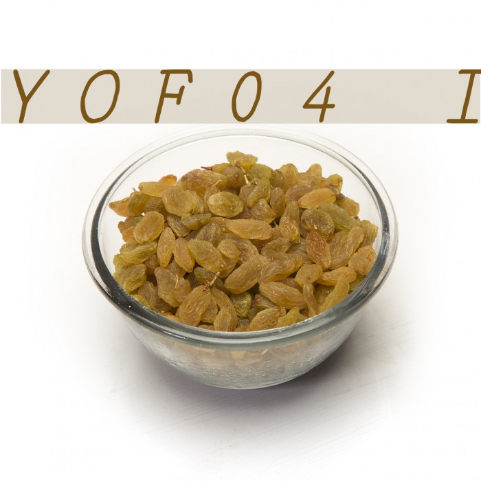 YOzFont04 Italic Font examples
