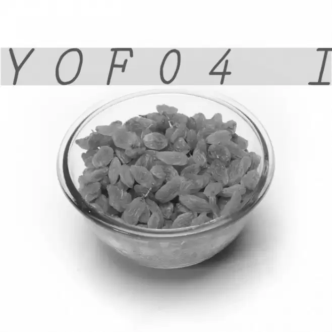 YOzFont04 Italic फ़ॉन्ट examples