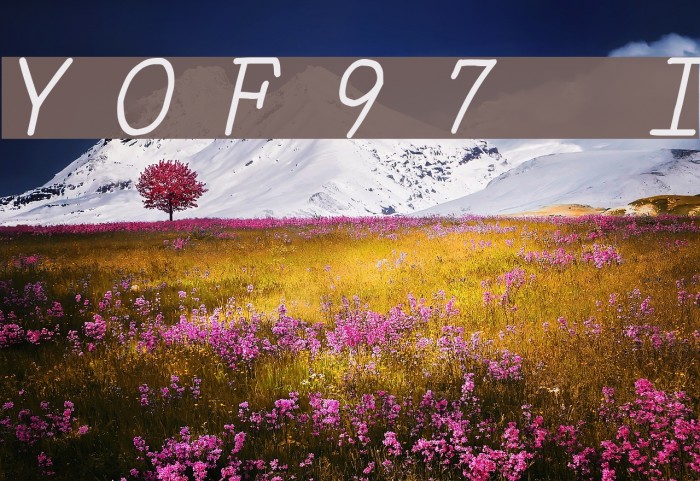 YOzFont97 Italic フォント examples