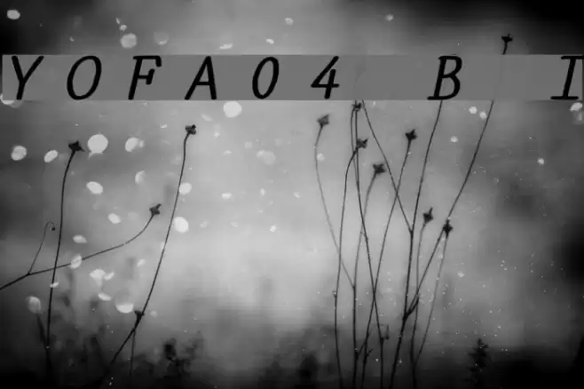 YOzFontA04 Bold Italic Шрифта examples