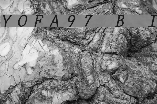 YOzFontA97 Bold Italic Font examples