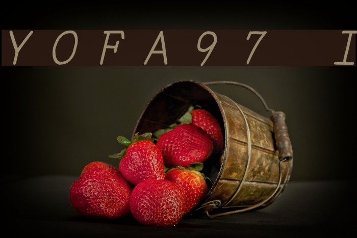 YOzFontA97 Italic Font examples