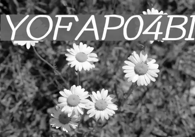 YOzFontAP04 Bold Italic フォント examples