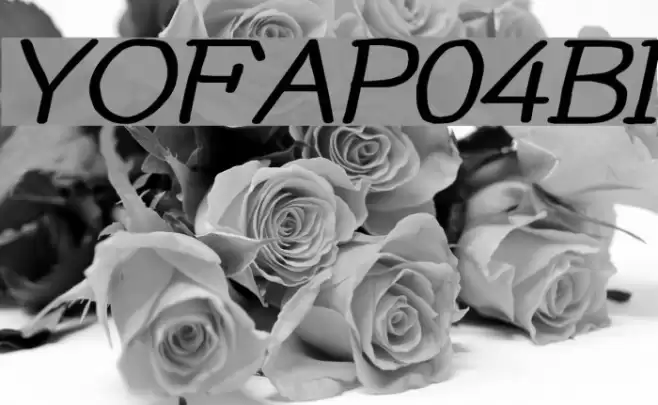 YOzFontAP04 Bold Italic フォント examples