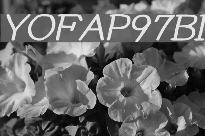 YOzFontAP97 Bold Italic Font examples