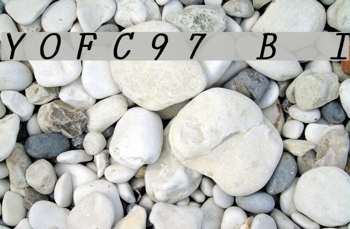 YOzFontC97 Bold Italic Font examples