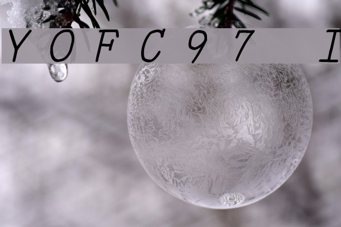 YOzFontC97 Italic Font examples
