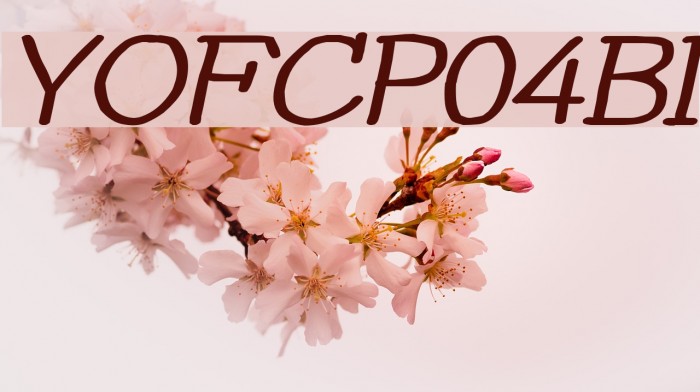 YOzFontCP04 Bold Italic Font examples