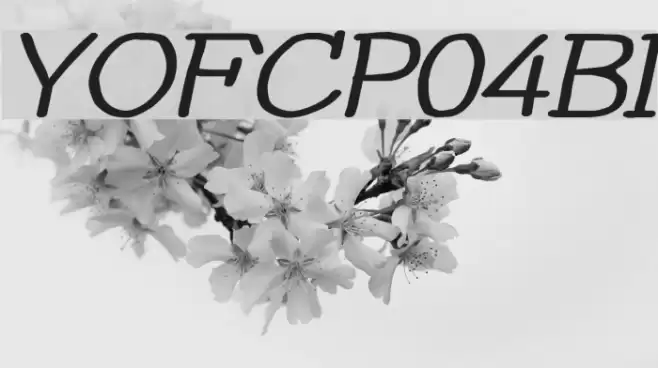 YOzFontCP04 Bold Italic Font examples