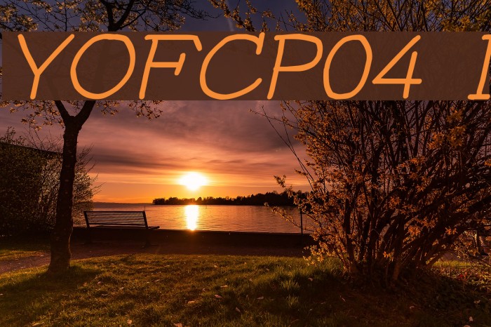YOzFontCP04 Italic Font examples