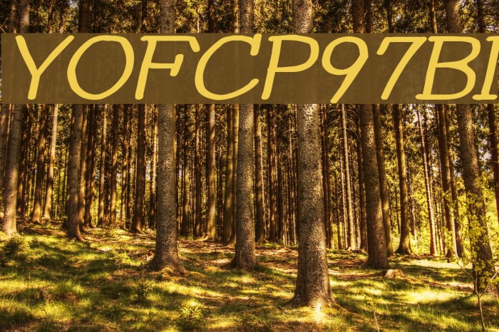 YOzFontCP97 Bold Italic Font examples