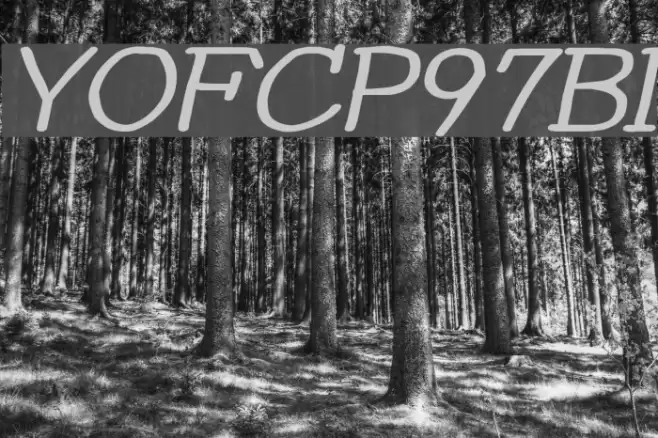 YOzFontCP97 Bold Italic Font examples