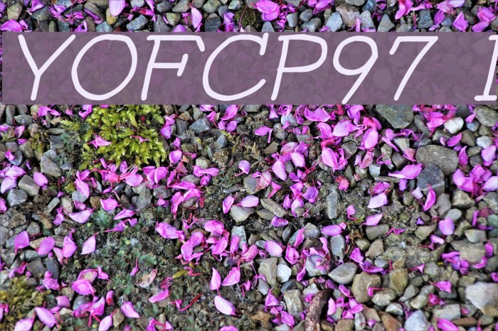 YOzFontCP97 Italic Font examples