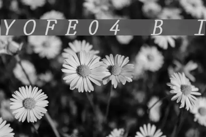 YOzFontE04 Bold Italic Font examples