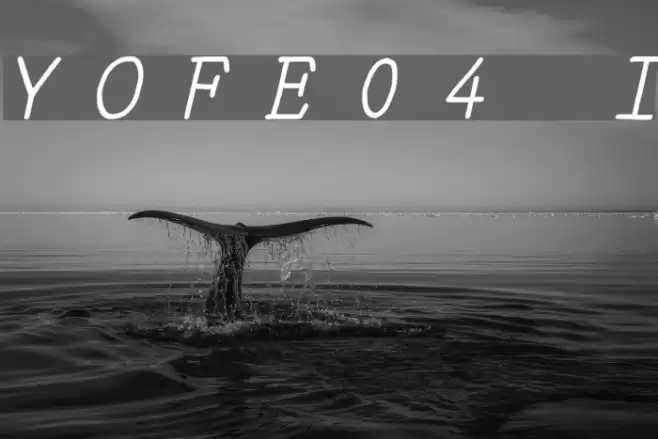 YOzFontE04 Italic Font examples