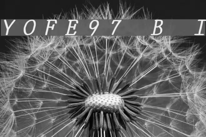 YOzFontE97 Bold Italic Font examples