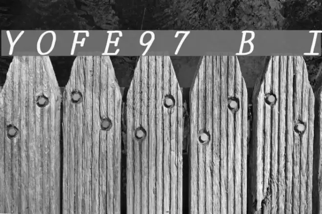 YOzFontE97 Bold Italic Font examples