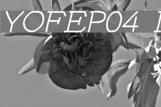 YOzFontEP04 Italic Шрифта examples