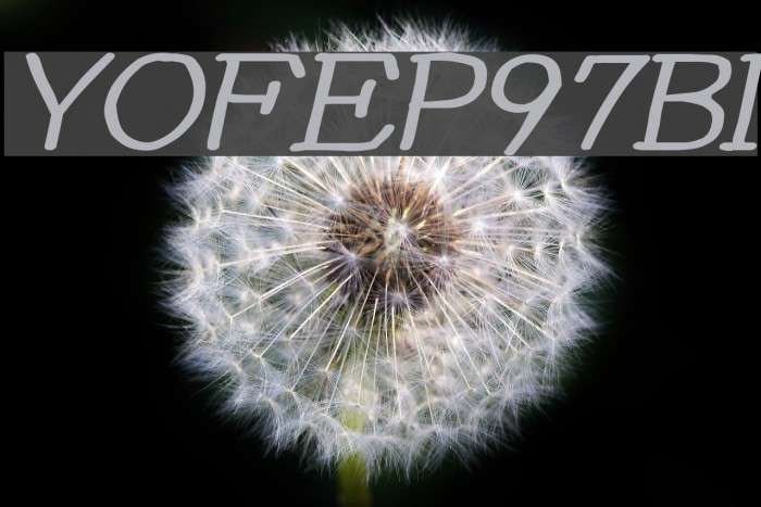 YOzFontEP97 Bold Italic Example 1