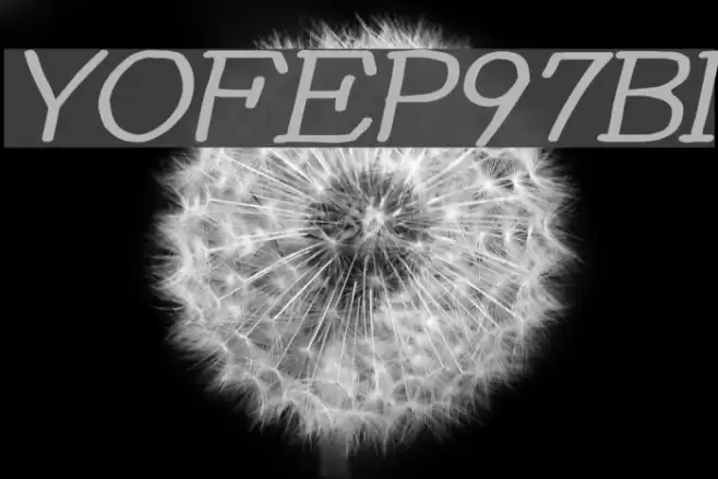 YOzFontEP97 Bold Italic Font examples