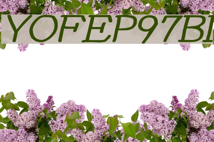 YOzFontEP97 Bold Italic Example 3