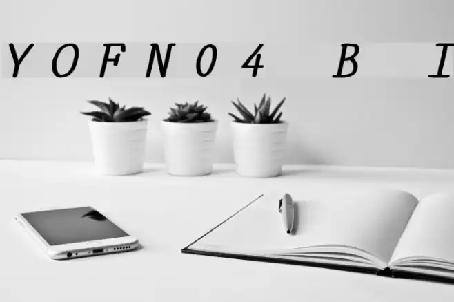YOzFontN04 Bold Italic Font examples