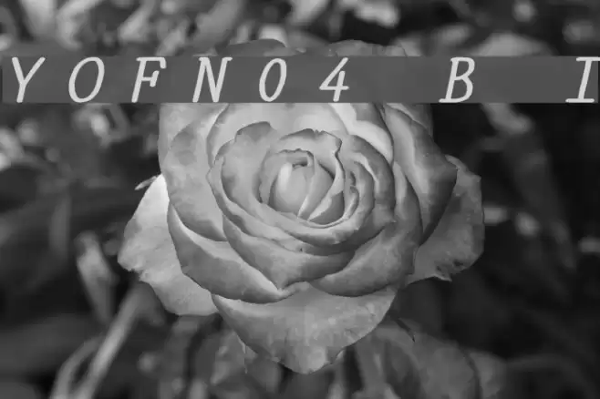 YOzFontN04 Bold Italic Font examples
