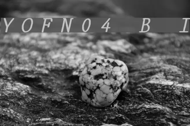 YOzFontN04 Bold Italic Font examples