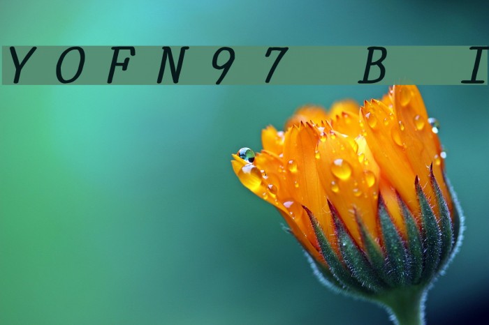 YOzFontN97 Bold Italic Font examples
