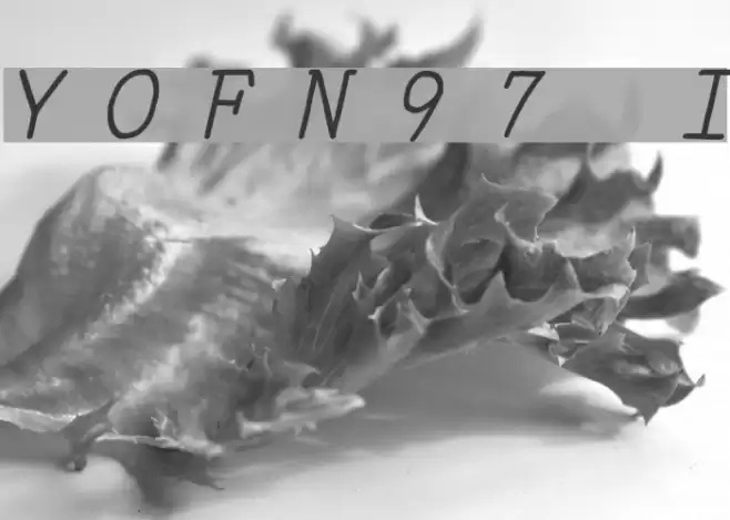 YOzFontN97 Italic Font examples