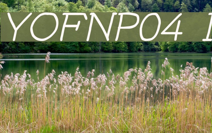 YOzFontNP04 Italic Font examples