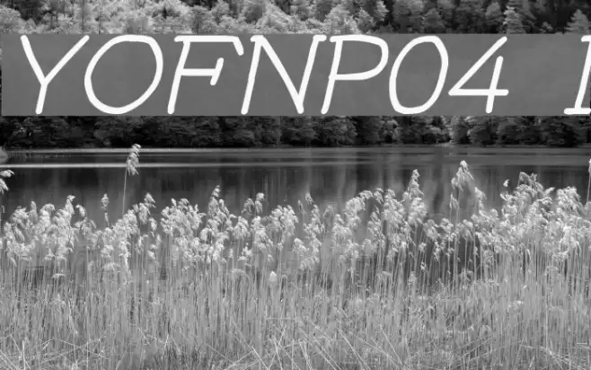 YOzFontNP04 Italic Шрифта examples