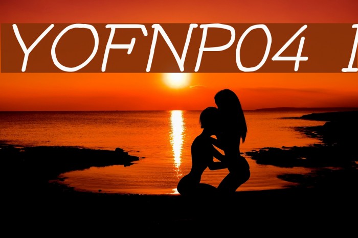 YOzFontNP04 Italic Font examples