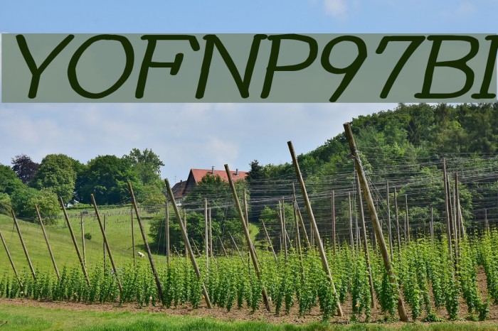 YOzFontNP97 Bold Italic Font examples