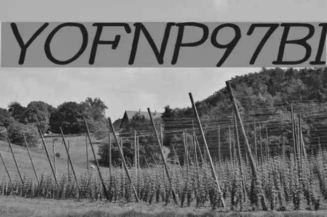 YOzFontNP97 Bold Italic Font examples