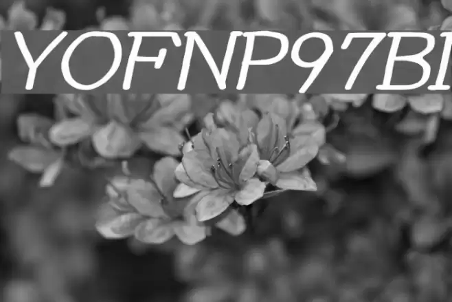 YOzFontNP97 Bold Italic Font examples