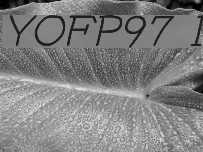 YOzFontP97 Italic Font examples