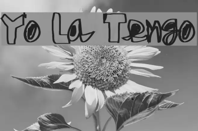 Yo La Tengo Font examples